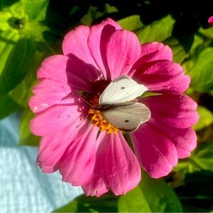 Floral Break Some Things Aren’t for Sale 💕